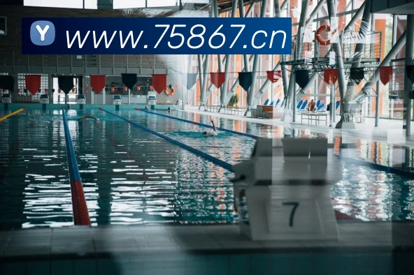 国际pg平台入口平台生态图