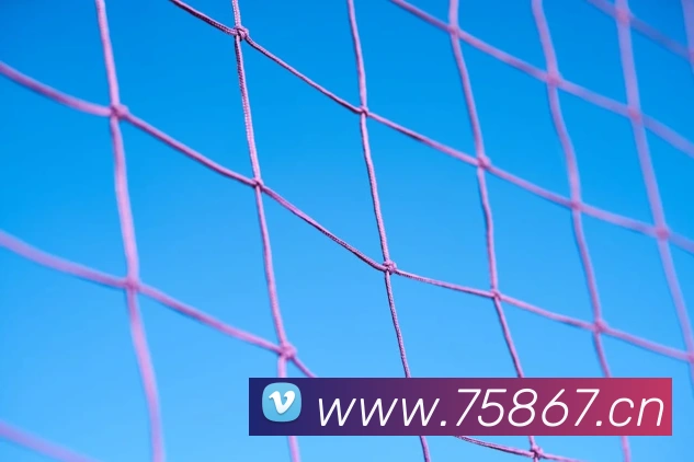 国际pg平台入口APP 封面图