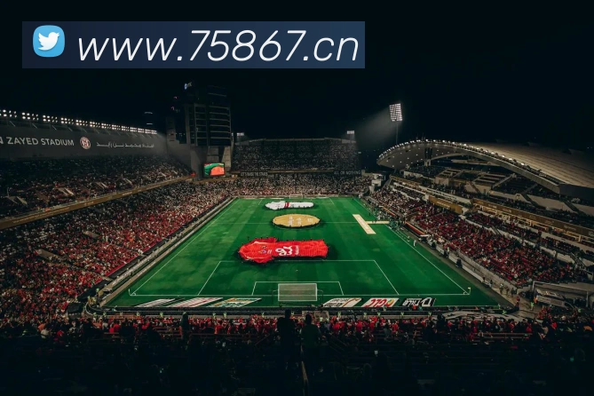 数据防护可视化